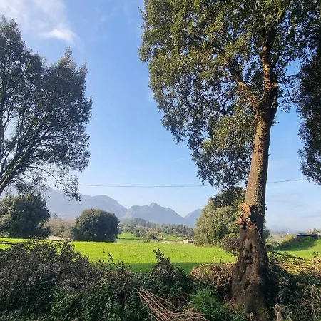 Serenidad Sierramar *